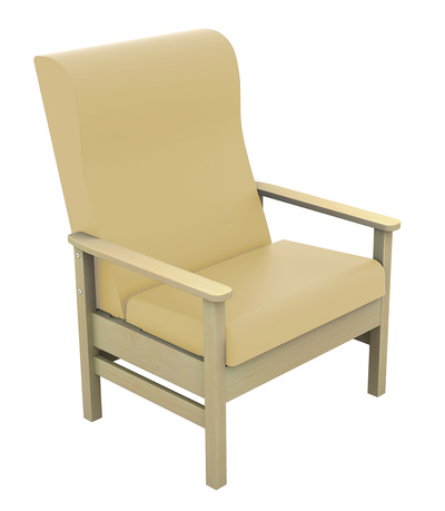 Sunflower Bariatric Arm Chair - High Back, Anti Bac