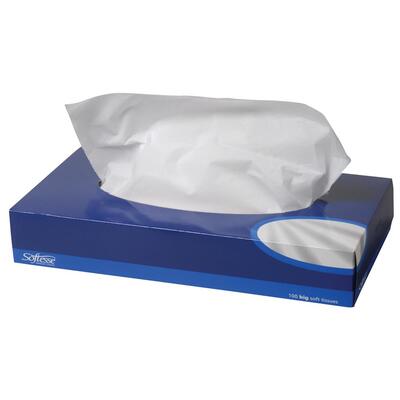 Mansize Tissues 100 sheets x1